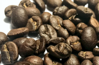 Costa Rica SHB Costa Rica SHB