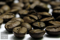 Guatemala SHB Lampocoy Guatemala SHB Lampocoy