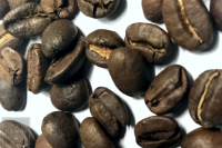 Mexico Flamingo SHB Mexico Flamingo SHB