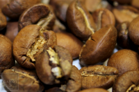 Nicaragua Flores SHB Nicaragua Flores SHB