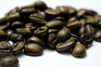 Indien Malabar Monsun Indien Malabar Monsun