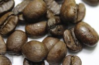 Espresso 100 % Arabica Espresso 100 % Arabica