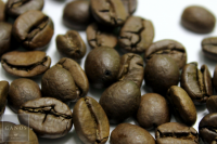 Vorschau: Espresso GANOS Extra Vorschau: Espresso GANOS Extra