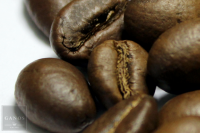 Robusta Vietnam 16 Robusta Vietnam 16